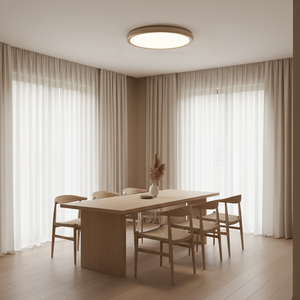 Kleine Ceiling Light