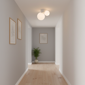 Land Ceiling Light