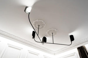 LEAF FOLIO Chandelier