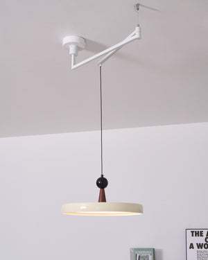 Lodi Swing Arm Pendant Light