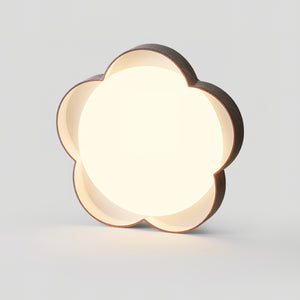 Luminaria Ceiling Lamp