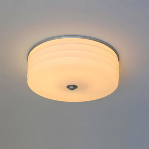 Marvian Flush Mount Ceiling Light