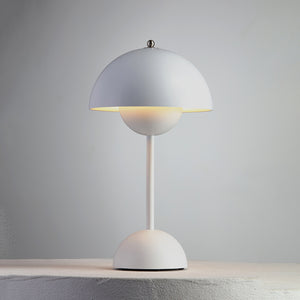 Rechargeable LED Small Desk Lamp