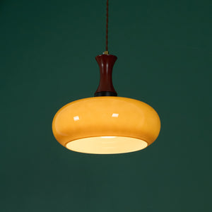 Mayon Plug In Pendant Lamp