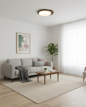 Meridian Ceiling Lamp