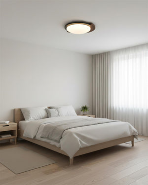 Meridian Ceiling Lamp