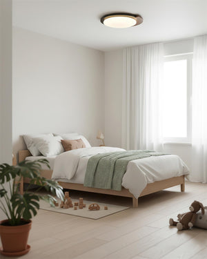 Meridian Ceiling Lamp