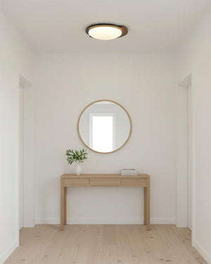 Meridian Ceiling Lamp