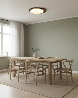 Meridian Ceiling Lamp