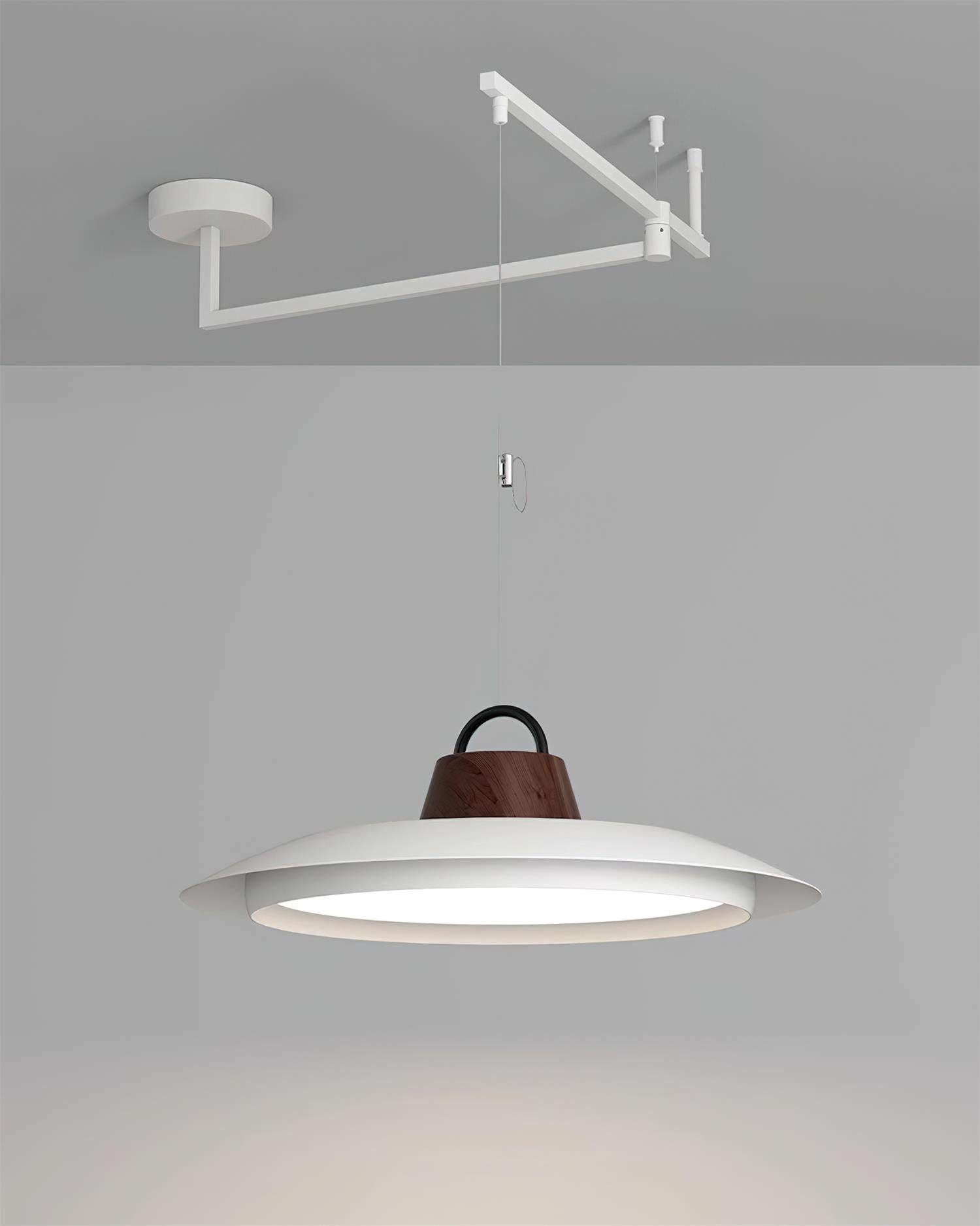 Morvia Swing Arm Pendant Lamp