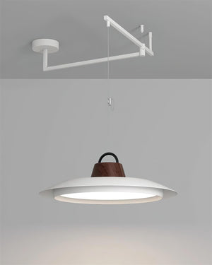 Morvia Swing Arm Pendant Lamp