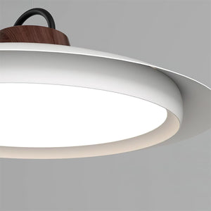 Morvia Swing Arm Pendant Lamp