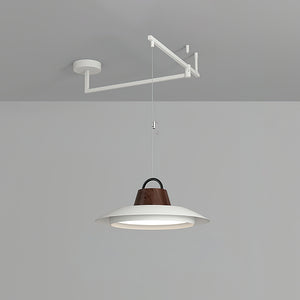 Morvia Swing Arm Pendant Lamp