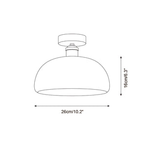 Moss Glow Ceiling Lamp