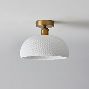 Moss Glow Ceiling Lamp