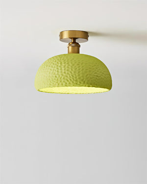 Moss Glow Ceiling Lamp