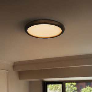 Natura Ceiling Lamp
