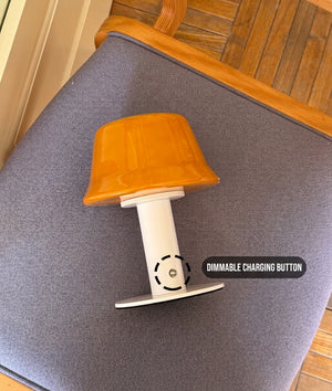 Nolvia Table Light