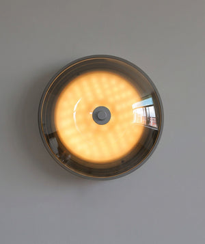 Orvella Flush Mount Ceiling Light