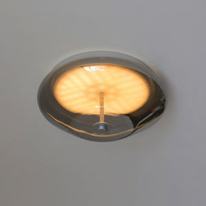 Orvella Flush Mount Ceiling Light