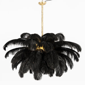 Ostrich Feather Chandelier