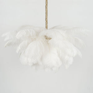 Ostrich Feather Chandelier