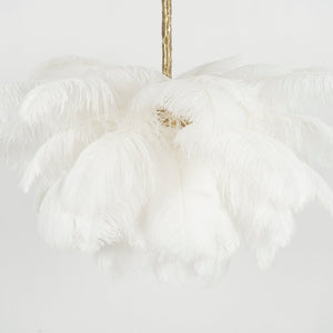 Ostrich Feather Chandelier