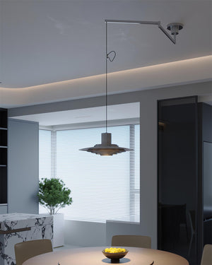 P376 Swing Arm Pendant Lamp