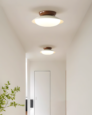 Paulo Ceiling Light