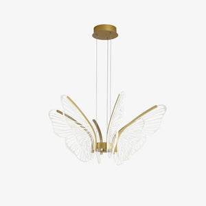Phalaenopsis Chandelier