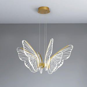Phalaenopsis Chandelier