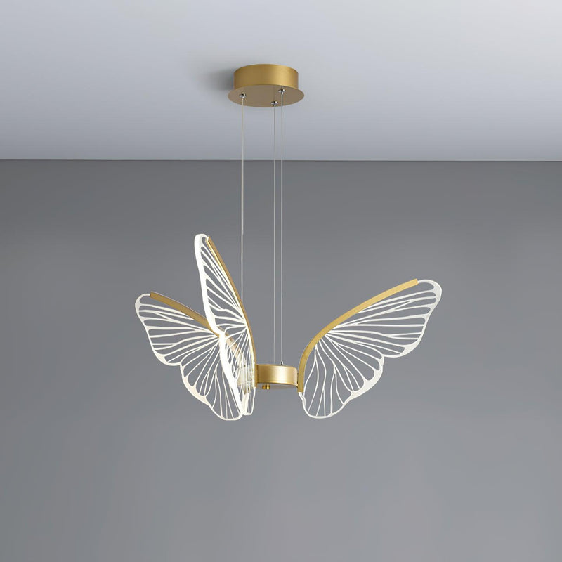 Phalaenopsis Chandelier – detail 29