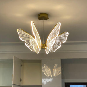 Phalaenopsis Chandelier