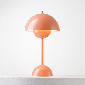 Rechargeable LED Small Desk Lamp