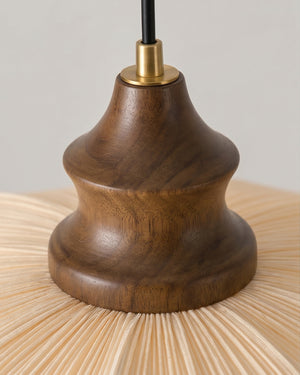 Pliora Pendant Light