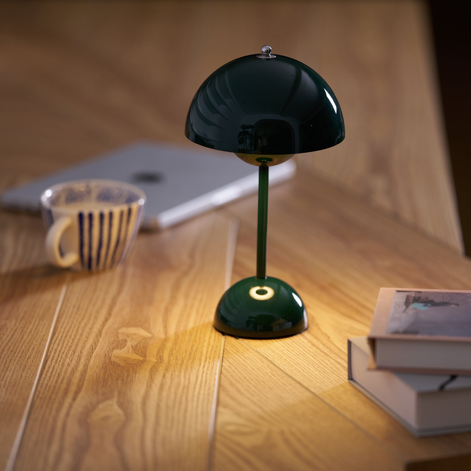 Rechargeable LED Small Desk Lamp