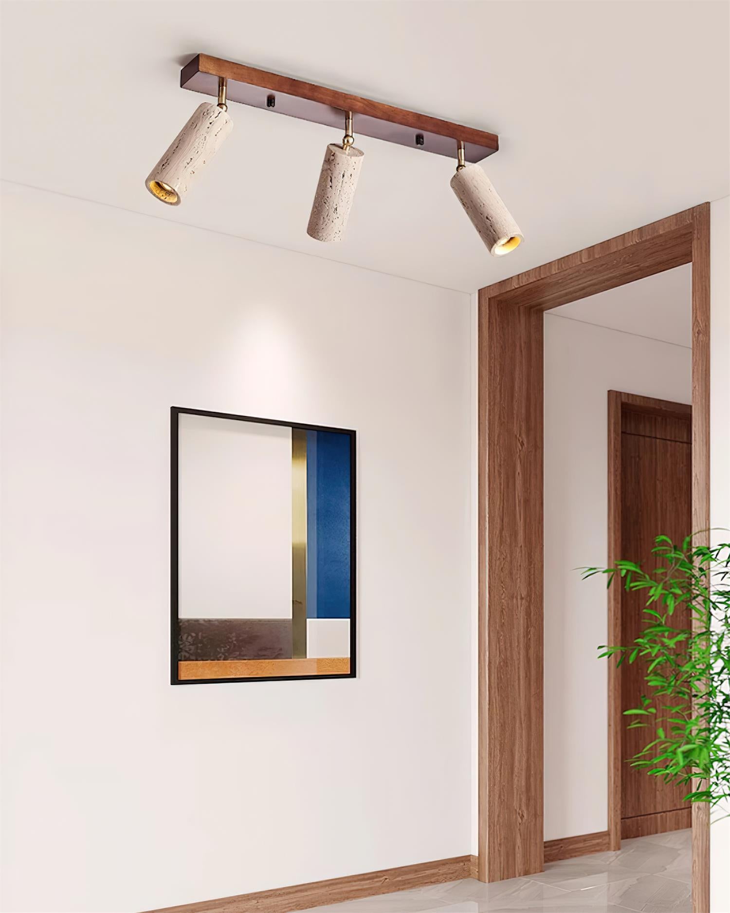 Ricerca Track Lighting