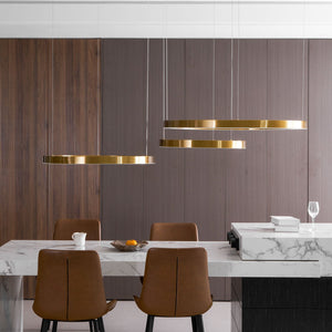 Ring LED Pendant Light