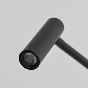 Rizo Reading Plug In Wall Lamp