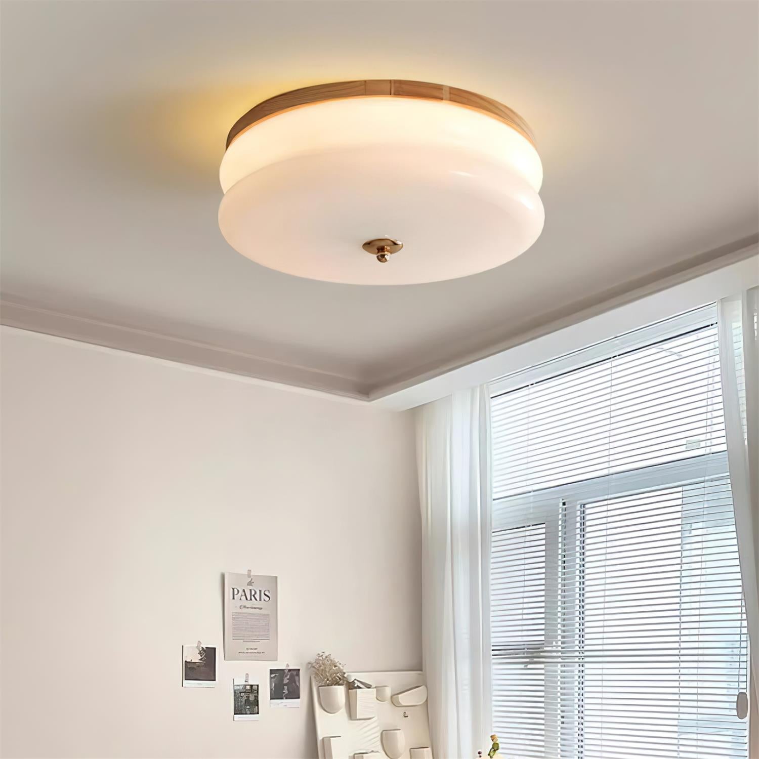 Rowen Ceiling Light