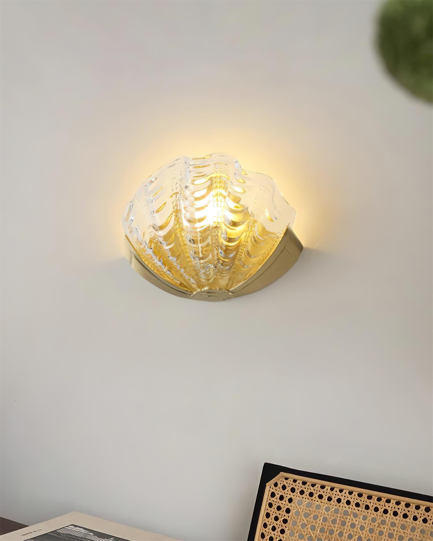 Seashell Wall Lamp