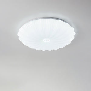 Acrylic Shell Round Ceiling Lamp