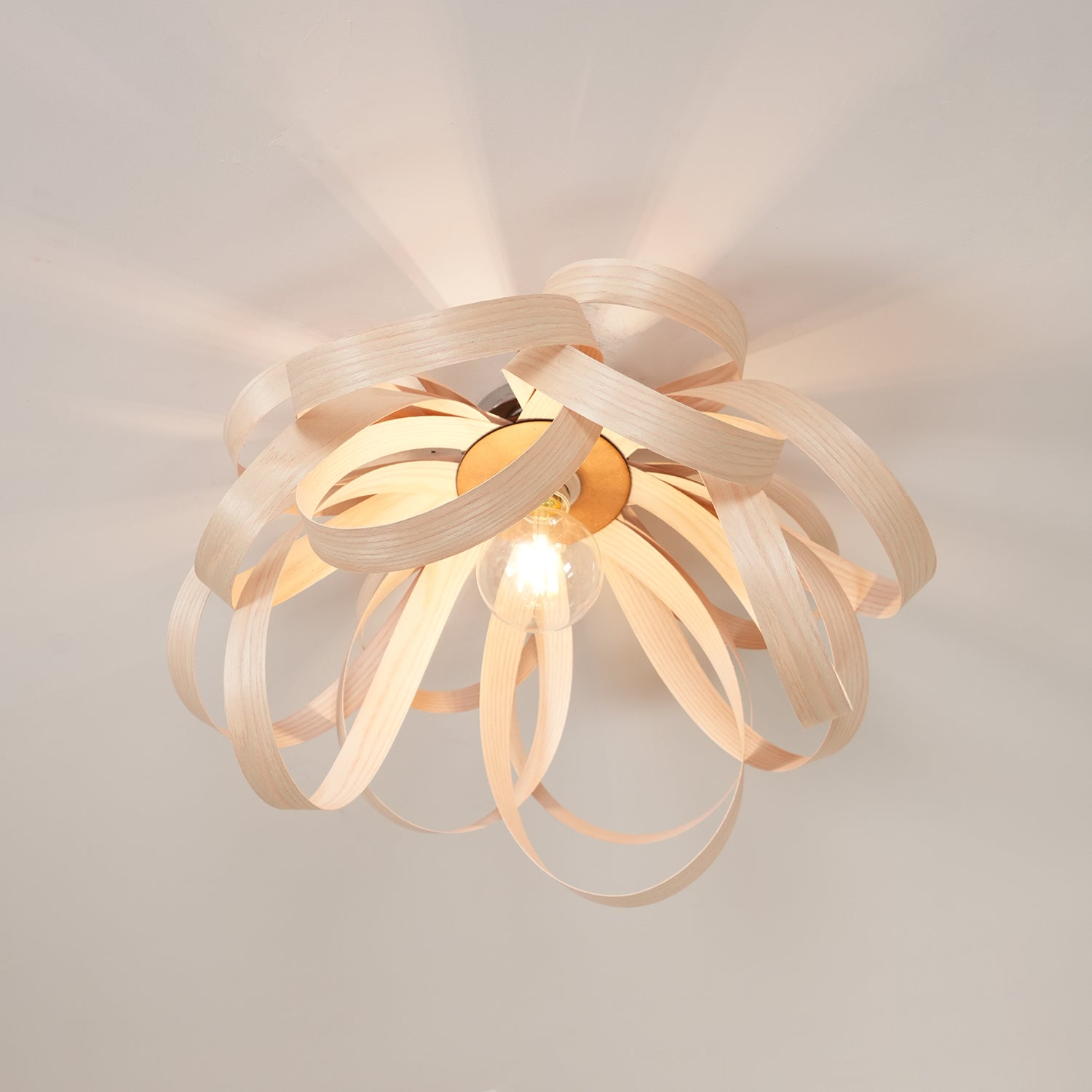 Skipper Ceiling Light