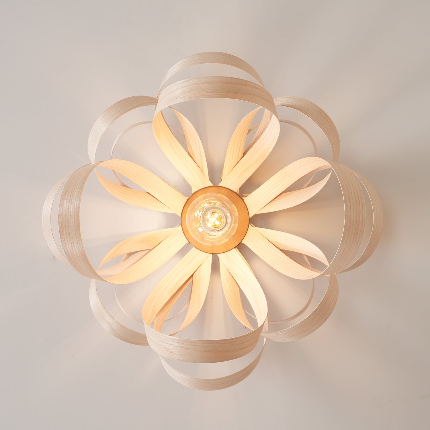 Skipper Ceiling Light