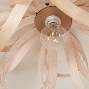 Skipper Ceiling Light