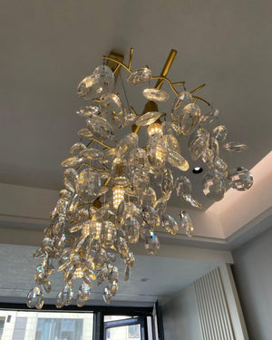 Sofia Chandeliers