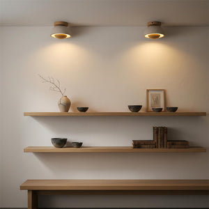 Solinor Ceiling Lamp