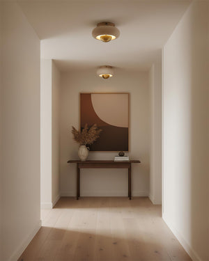 Solinor Ceiling Lamp