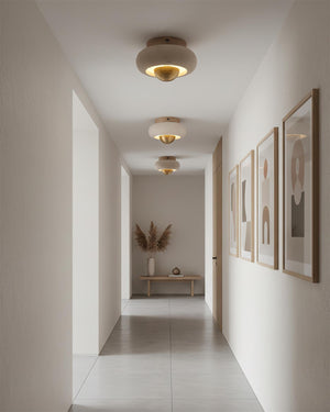 Solinor Ceiling Lamp