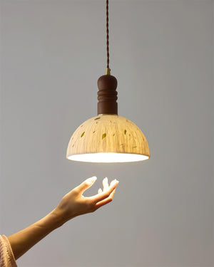 Sylvane Dome Pendant Lamp